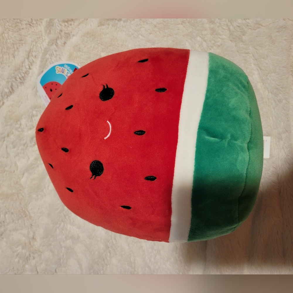 Walgreens Exclusive Winsey the Watermelon Squishmallow
